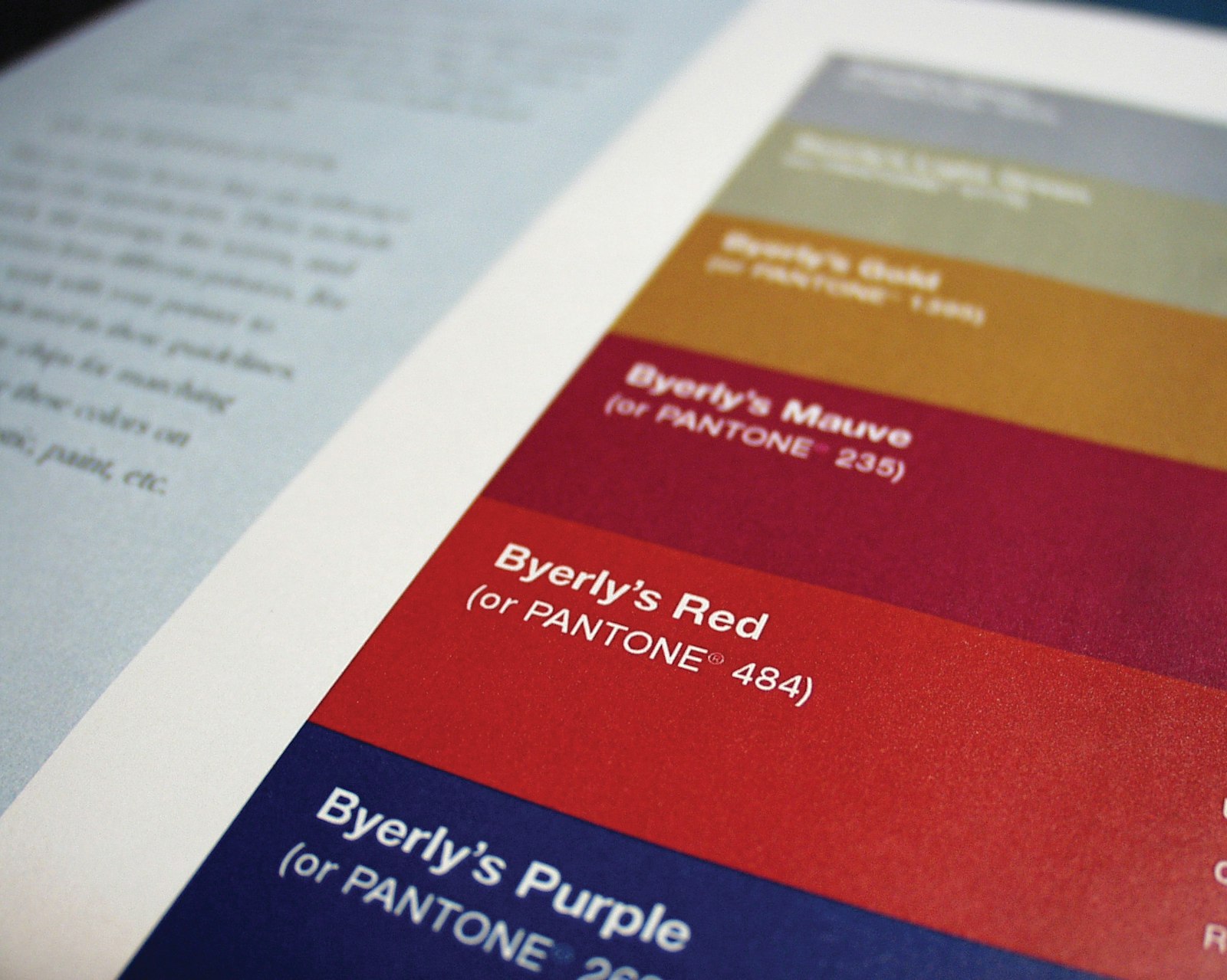 Byerlys Stand Swatch
