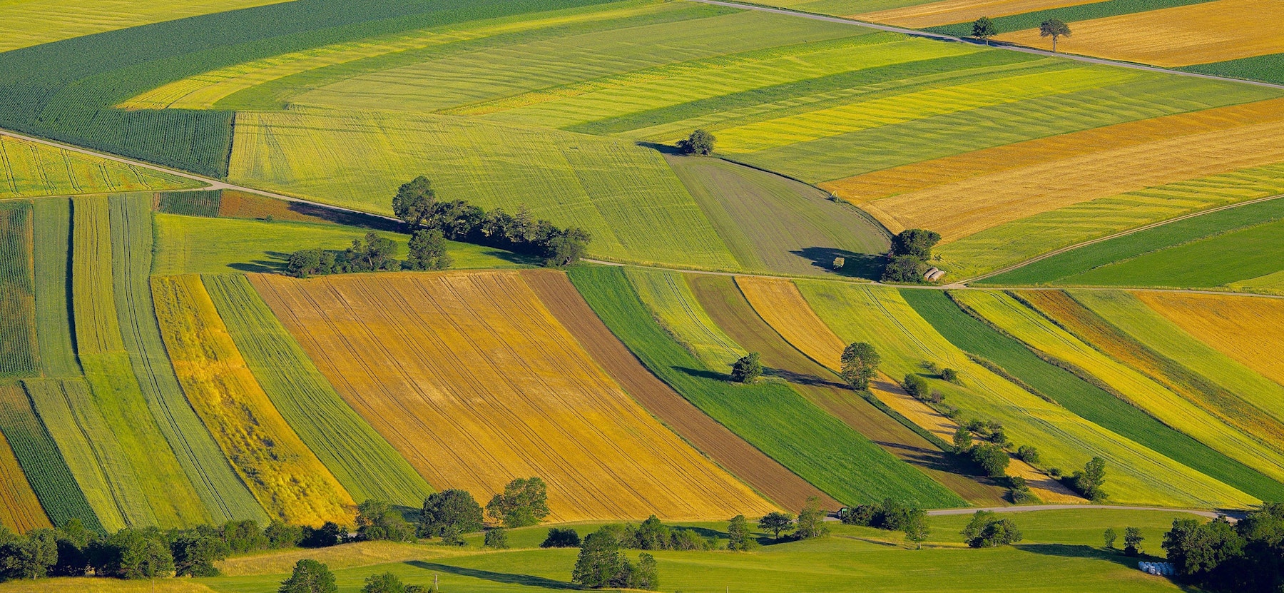 Green Seam header